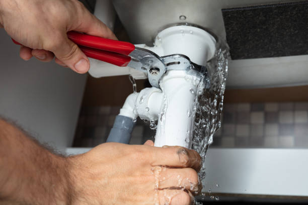 Best Water damage restoration process  in Elsberry, MO