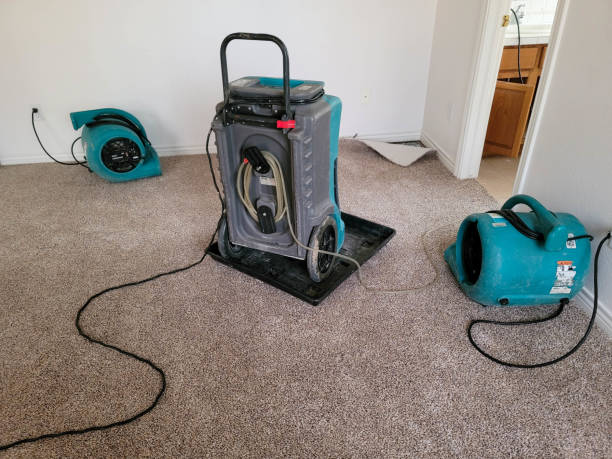 Best Fire Damage Restoration  in Elsberry, MO