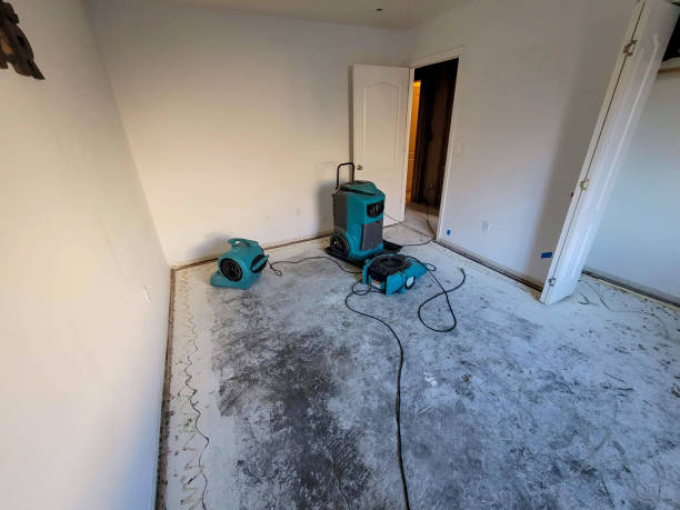Best Flooded house restoration  in Elsberry, MO