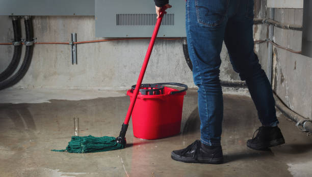 Best Flood damage cleanup  in Elsberry, MO