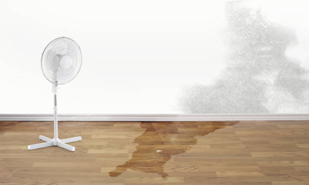 Water damage restoration process in Elsberry, MO