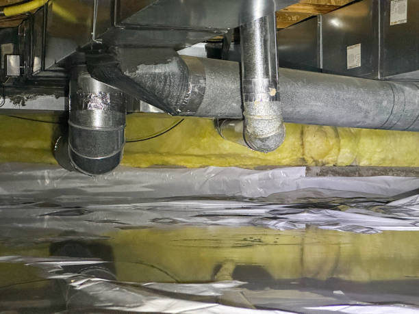 Trusted Elsberry, MO Water damage restoration Experts