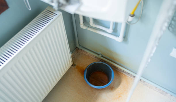 Best Flood restoration services  in Elsberry, MO