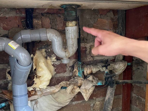 Best Water damage restoration near me  in Elsberry, MO