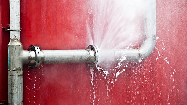 Best Emergency water damage restoration  in Elsberry, MO