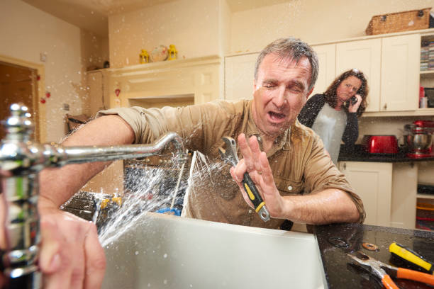 Best Carpet water damage restoration  in Elsberry, MO